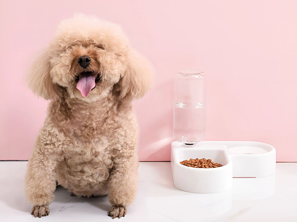 2in1 doppel-futter- und wassernapf mit 500 ml reservoir für hund und katze