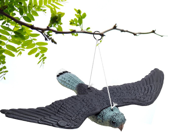 Dissuasion d'oiseaux étourneaux pigeons rongeurs faucon