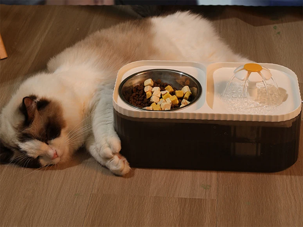Automata macska itató kutya szökőkút vízszűrő étel tál
