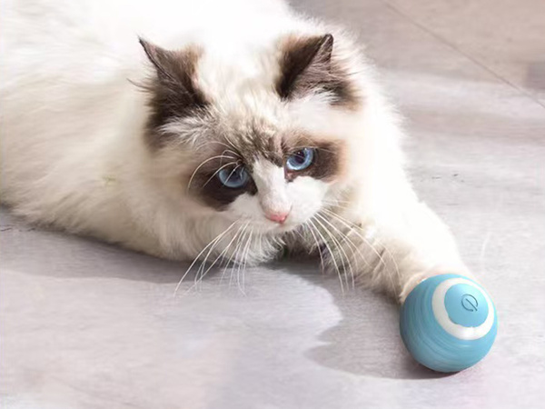 Jouet pour chat chien balle d'évasion balle électrique usb vibration led