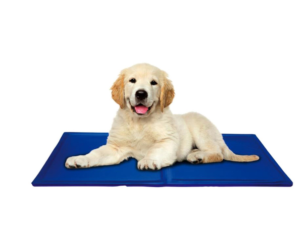 Tapis de refroidissement en gel hydrofuge pour chiens et animaux 50x65cm jambes de chat