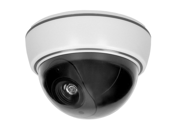 Caméra factice dôme led ir grand