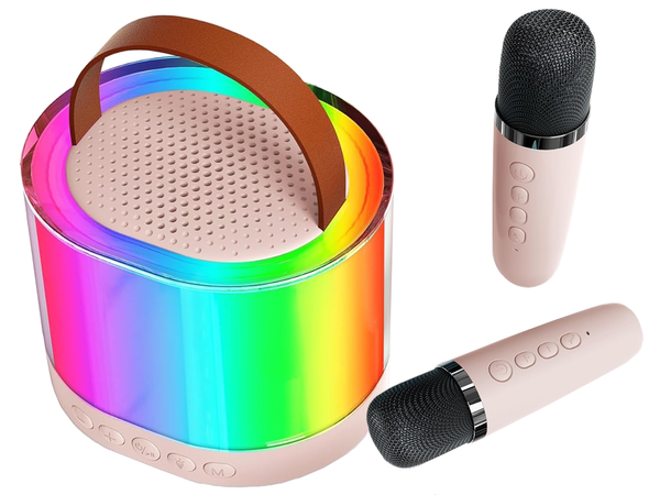 Kit karaoké 2x microphone sans fil enceinte bluetooth portable rgb