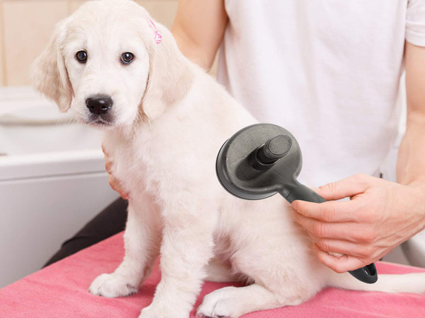 Dog hair brush cat self-cleaning grooming comb