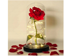 Rosa eterna en cristal rojo led regalo luminoso para una ocasión para mujer