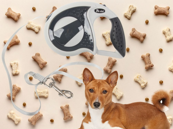 Automatic leash 5m strong for dog up to 20kg with lock strong long