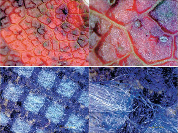 Digital mikroscop usb 8 led smd 1000x lupa zoom digital mikroscop usb 8 led smd 1000x lupa zoom