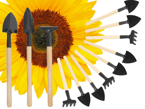 Ensemble d'outils de jardinage râteau pelle 3in1 mini outils de rempotage