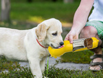 Botella dispensador de comida bebedero para perros y gatos cuenco con dispensador de bolsas 300 ml