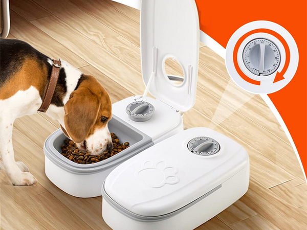Dvojna skleda za psa mačka avtomatski dozirnik hrane časomer velik