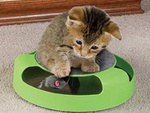 Cat toy mouse wheel scratcher mouse