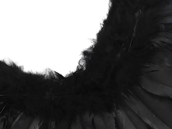 Perie anjelské krídla čierne rozprávkový kostým cosplay halloween prestrojenie