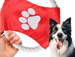 Dog toy chew tug rope frisbee disc
