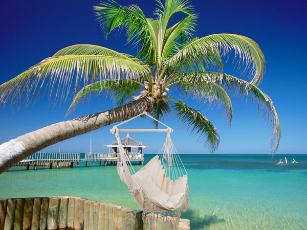 Brazilian hammock chair hanging swing hammock armchair cushions boho