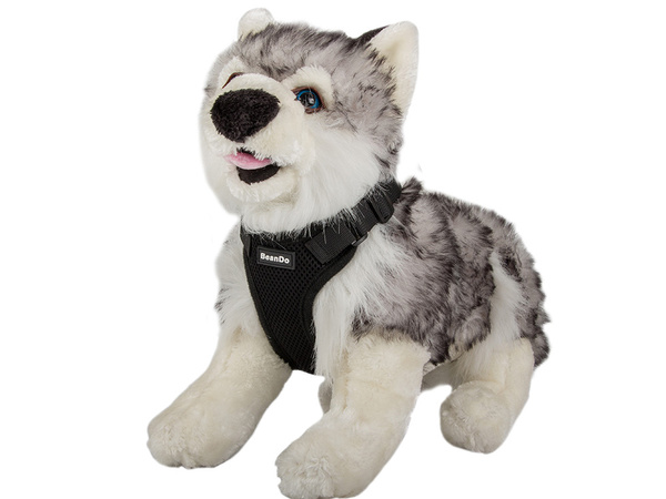 Rakmed surveta koera jalutusvaljad kerge pehme tugev lukk xl