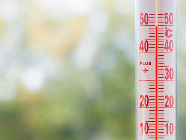 Outside window wall thermometer long