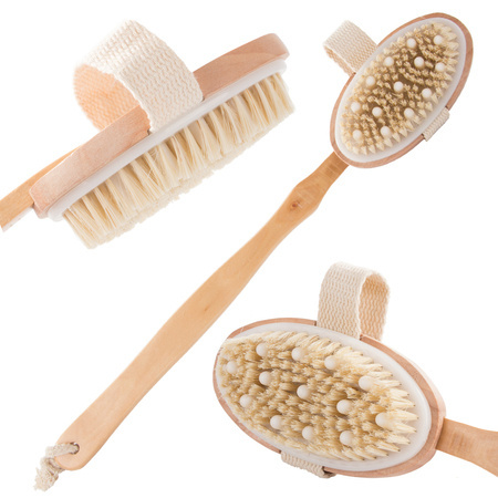 Wet dry body massage brush for the back