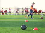 Training cones flexible mushroom plates