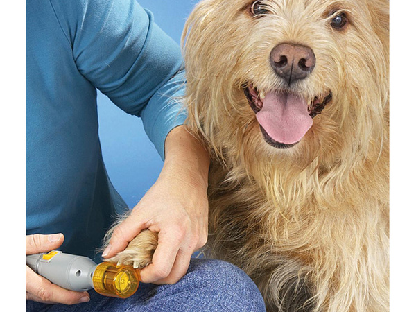 Lime à griffes broyeur de griffes pour chien chat
