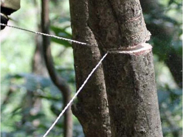 Piła ręczna strunowa druciana turystyczna survival