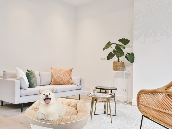 Plüss kutya járóka ágy puha párna kanapé ágynemű pelyhes