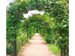 Pérgola de jardín soporte de flores para plantas trepadoras arco para rosas metal decorativo