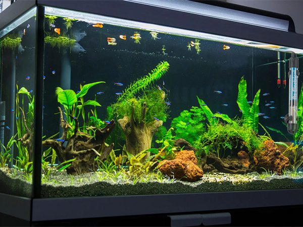 Akvarijní ohřívač 50w regulace teploty termostat účinný 50l ohřev