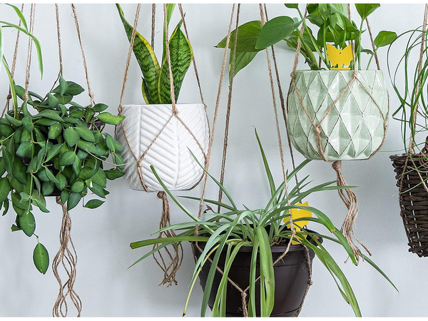 Sárga pot matricák sárga ragacsos a pikkelyes rovarok gyümölcslegyek 12 db