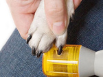 Krallenfeile krallenschleifer für hund katze