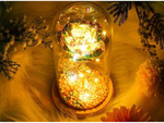 Rosa eterna en caja de cristal luminosa led regalo dia de la mujer