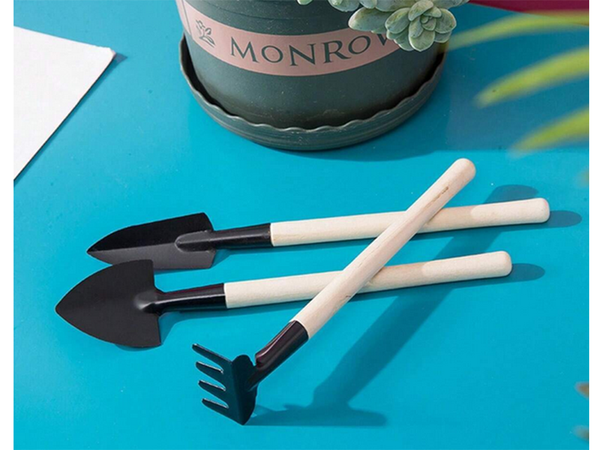 Aiatööriistade komplekt hara labidas 3in1 mini potting tööriistad