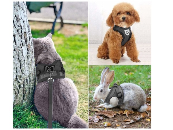 Porte-manteau sans pression pour chien chat lapin doux fort réflecteur m