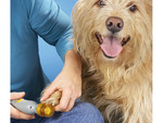 Krallenfeile krallenschleifer für hund katze