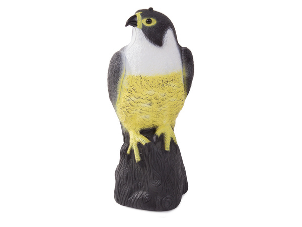 Falcon bird deterrent starlings pigeons mice large