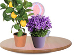 Panneau 200 lampe led pour culture de plantes 20w croissance