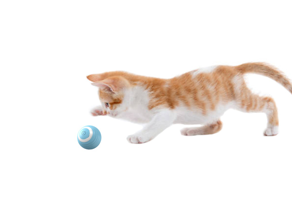 Mänguasi kassi koera põgenevale pallile led vibratsiooniga elektriline usb-pall