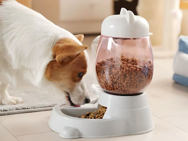 Comedero y bebedero para perros comedero automático para gatos 2en1