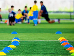 Training cones flexible mushroom plates