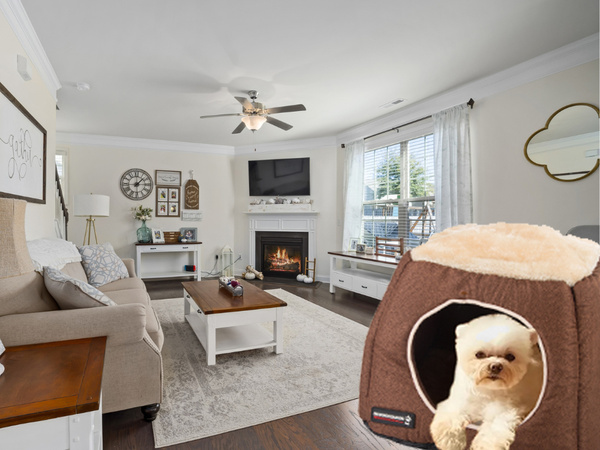 Veislynas šuns lova minkštas veislynas palapinė patalynė kušetė lovytė