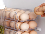 Huevera nevera alimentador para 14pc huevos universal