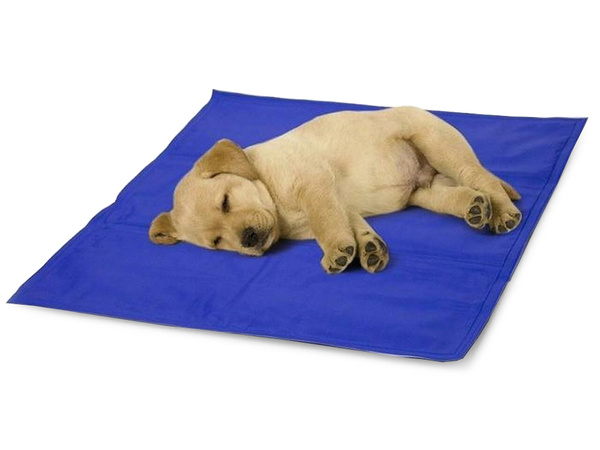 Tapis de refroidissement en gel hydrofuge pour chiens et animaux 50x65cm jambes de chat
