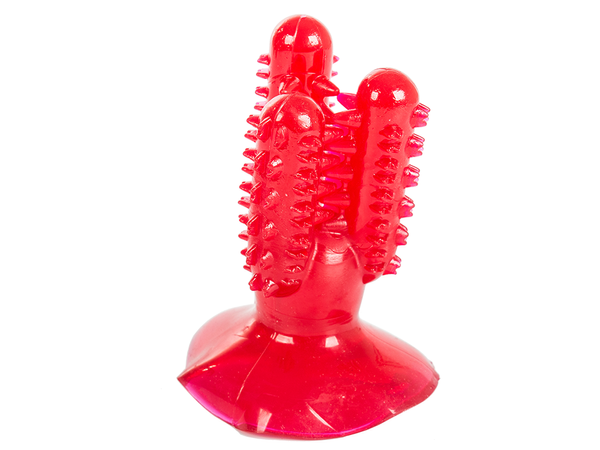 Dog chew toothbrush cactus for dogs