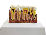 Anatomical model of a dental tooth educational cross-section removable tooth