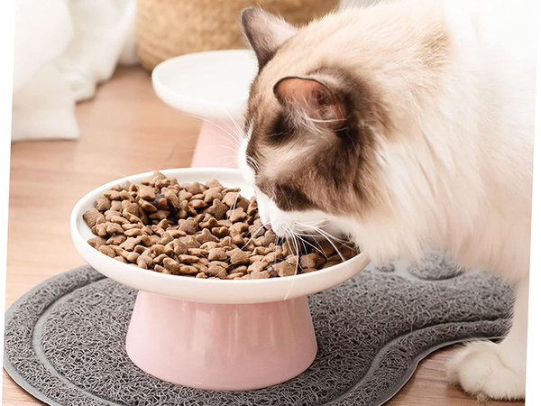 Tapis pour écuelle de chien tapis antidérapant imperméable pour écuelle de chat