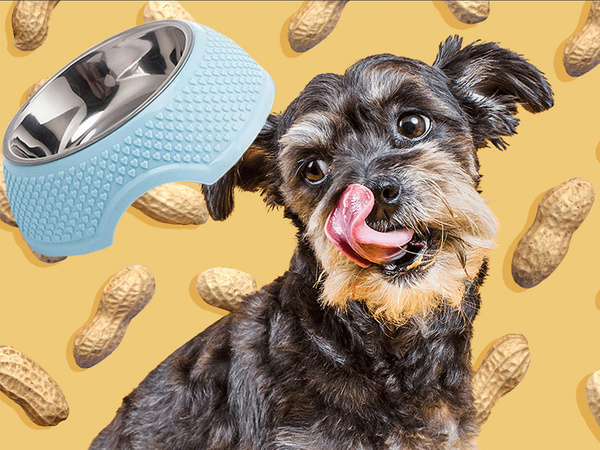 Kovová miska pre psa s odstraňovateľnou vložkou 350 ml