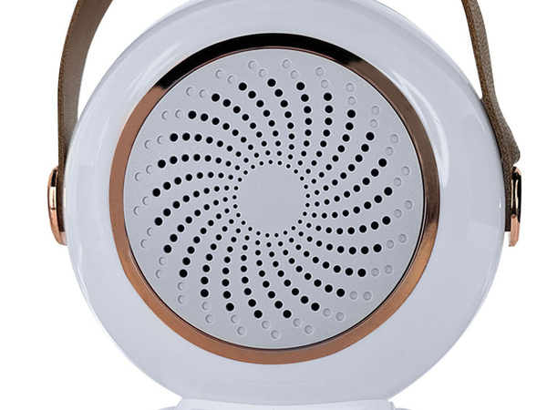 Kit personal karaoke inalámbrico altavoz bluetooth + 2x microfono