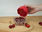 Cherry, sweet cherry and olive pitter with container, manual seed extractor