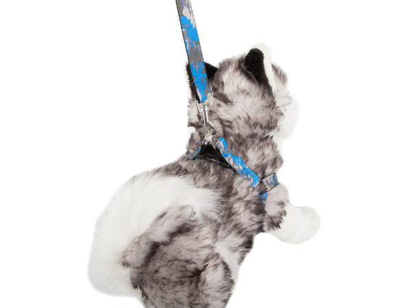 Laisse avec harnais harnais de marche pour chien chat taille ajustable confortable