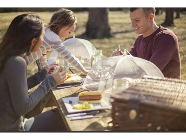 Moskytiéra kryt potraviny ovocie grilovanie ochrana proti hmyzu 34cm