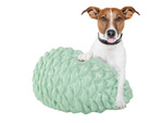 Dog chew teeth cleaning toy dog cone for treats
